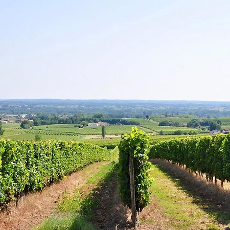 Clos Saint Sauveur - Guesthouse Au Coeur Des Vignes Sur Le Coteau Buitenkant foto