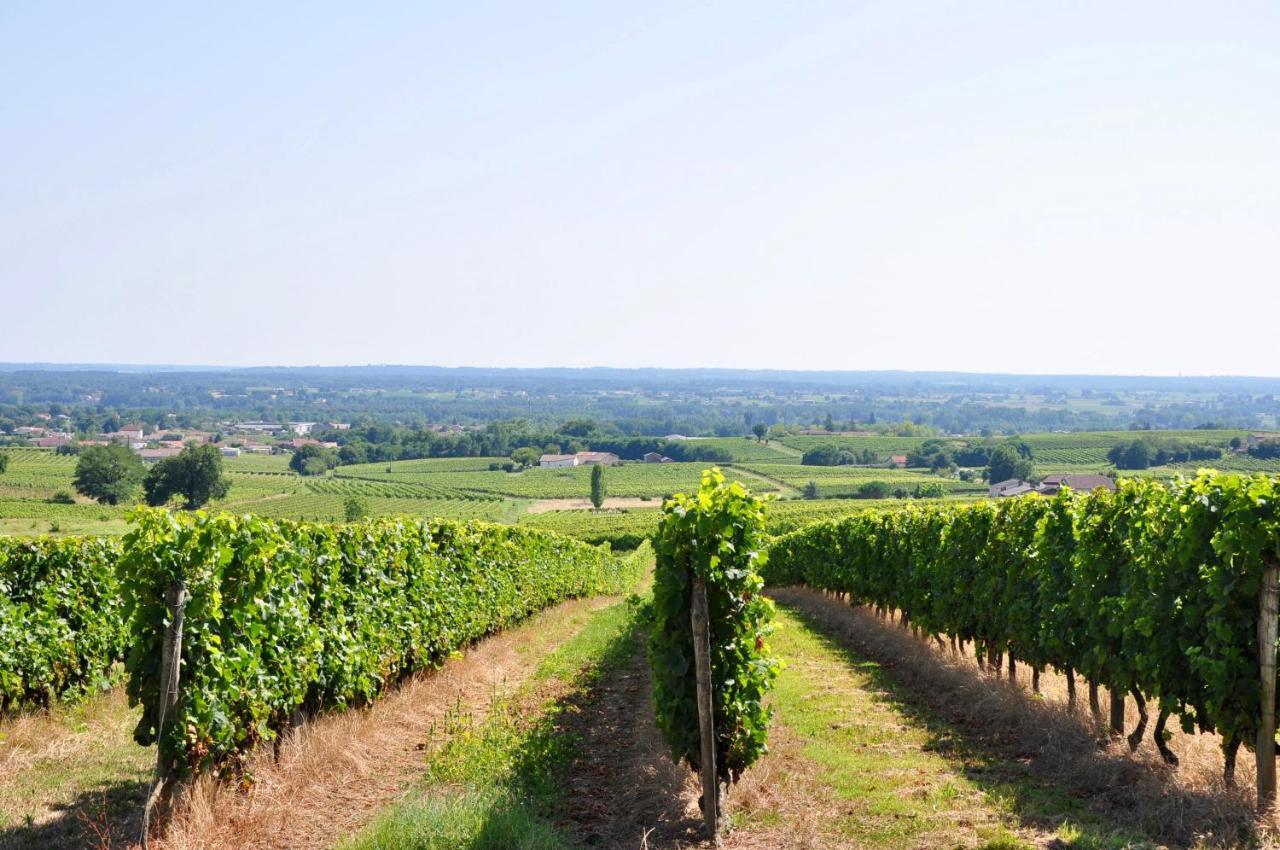 Clos Saint Sauveur - Guesthouse Au Coeur Des Vignes Sur Le Coteau Buitenkant foto
