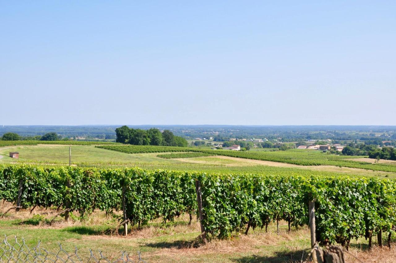 Clos Saint Sauveur - Guesthouse Au Coeur Des Vignes Sur Le Coteau Buitenkant foto