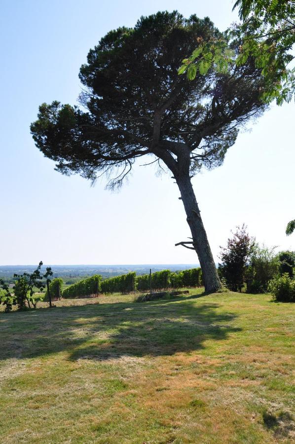 Clos Saint Sauveur - Guesthouse Au Coeur Des Vignes Sur Le Coteau Buitenkant foto